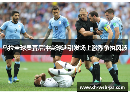 乌拉圭球员赛后冲突球迷引发场上激烈争执风波